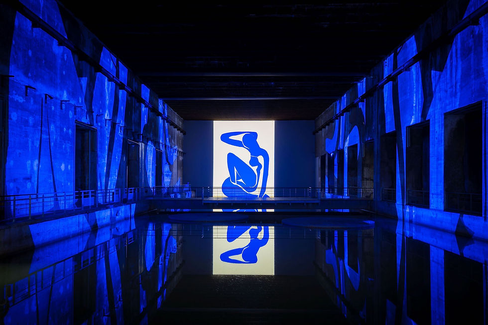 Experience the Magic of Matisse and Frida Kahlo at Bassins des Lumières in Bordeaux