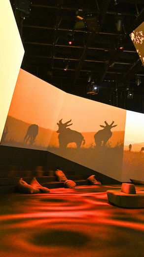The BBC Earth Experience Comes to Melbourne