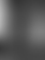 Fran Lebowitz Returns to Australia for an Evening of Wit and Laughter