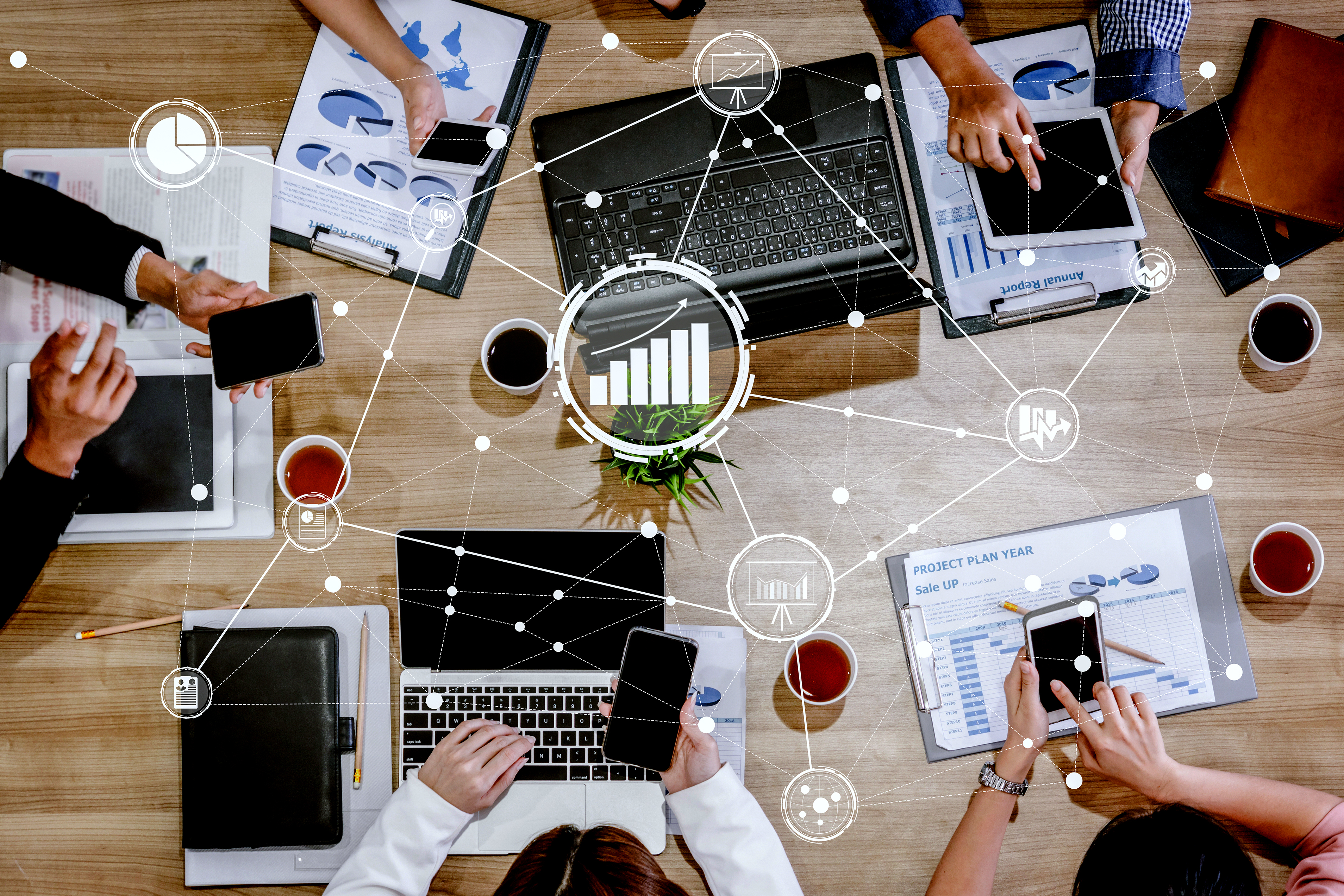 IT project coordination