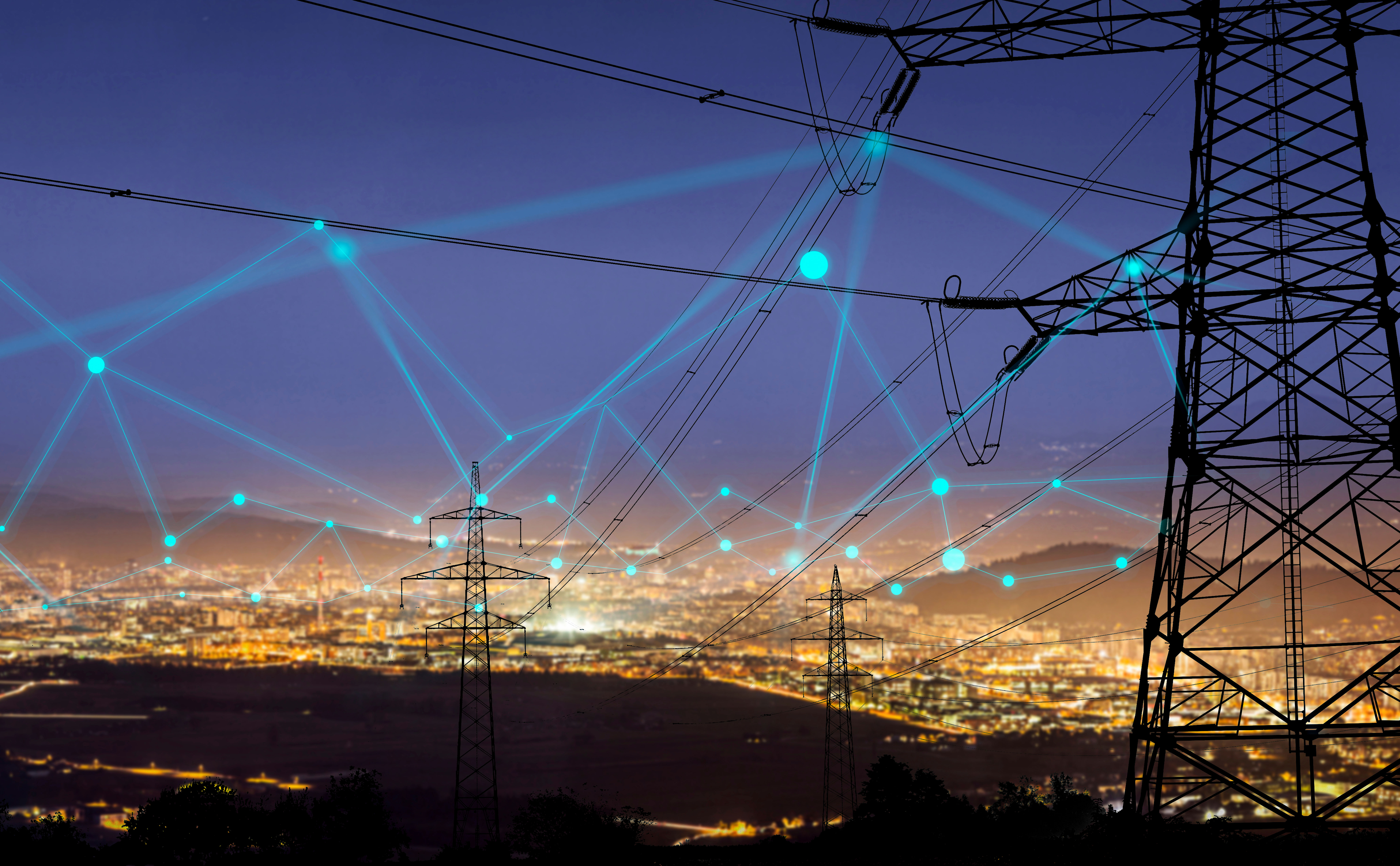 Consulting services for power grids