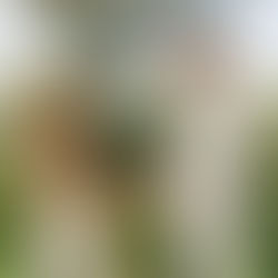 How to Write Wedding Vows