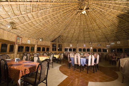 Palapa Interior