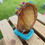 Thumbnail: Chew Buddy