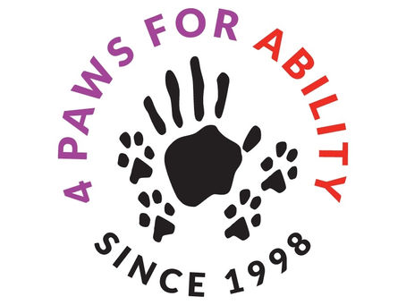 Why Service Dogs?