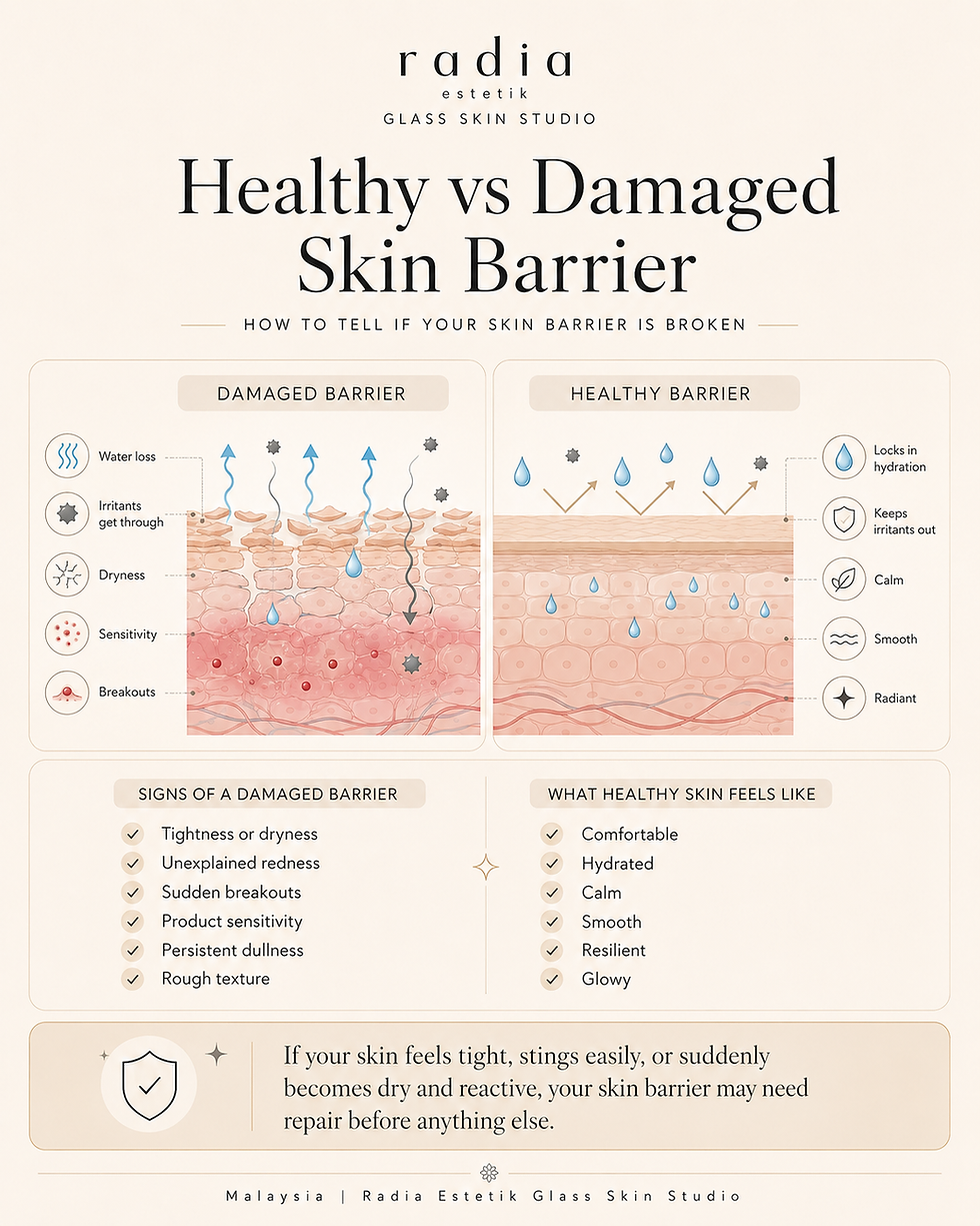 Signs of damaged skin barrier Malaysia — how to tell if your skin barrier is broken
