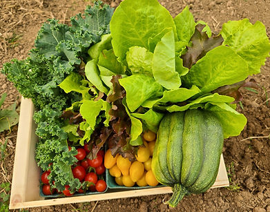 Garden%20greens%201_edited.jpg