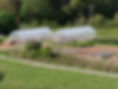 Greenhouse Pictures.jpg