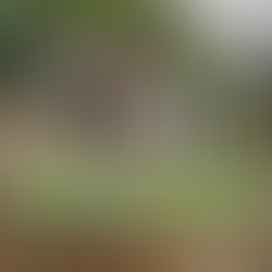 5 tips para encontrar vuelos baratos