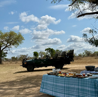 Private breakfast in the bush, Sabi Sands Game Reserve, South Africa
