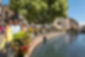 rhine river luxury cruises