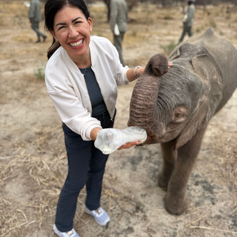 Feeding a young elephant at an orphanage - Elephant Havens, Botswana
