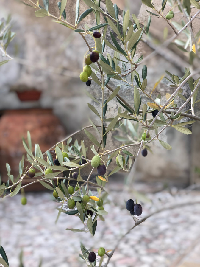 A VACATION IN ITALY IS SO MUCH MORE THAN SIGHTSEEING