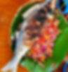 INIHAW na BANGUS