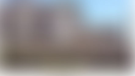 إيقاف ب. شلهوب عن العمل هو قرار سياسي ورسالة مبطنّة للمحاضرين والطلاب الفلسطينيين في الجامعة