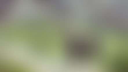 لَمّ الشمل -التماس لتطبيق قانون التأمين الوطني