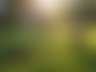 Top Features of Quality Underground Pet Fencing