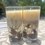 Thumbnail: Scenic Views Botanical Candle – Medium Size