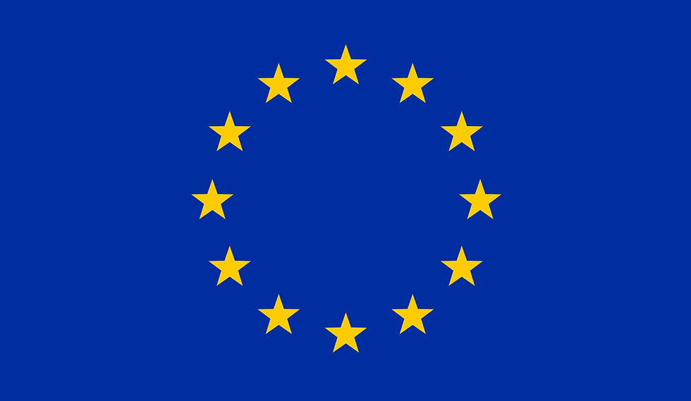EU FLAG WEBSITE ICON.png