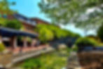 9B7ADF23-C8D5-4F1A-B5C4-0D8C97645703_1_201_a.jpeg