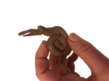 IMG_7658 Background Removed.png