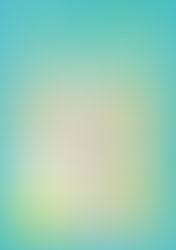 Kyoto Culture Experience in 2019