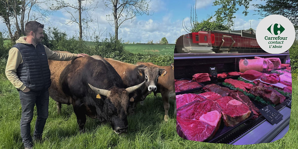 Capture d’écran 2025-05-19 134627_edited.jpg