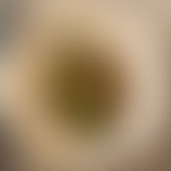 Roasted Cauliflower Steak Piccata