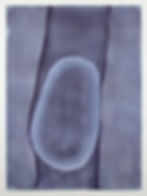 Cocoon, 2025, woodblock on Japanese paper, ed. 20, 24.6" x 18.3"