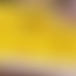 Yellow Rice