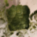 Spinach Sauce for Pasta