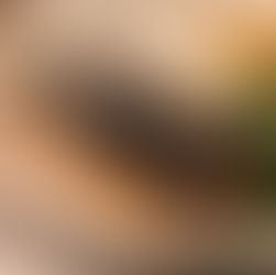 Salmon with Crispy Nori