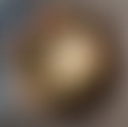 Rainbow Chard and Cannellini Beans "Borani" Style