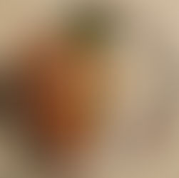 Deconstructed (AKA Lazy Girl) Vegetable Curry