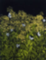 Coming of Spring, mezzotint, 2021, ed.50, 29.5" x 21.2"