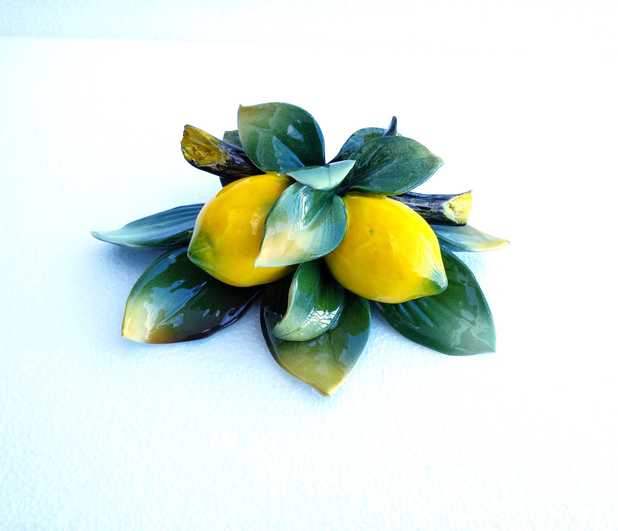 Branch of two small lemons