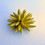 Thumbnail: Small sea urchin