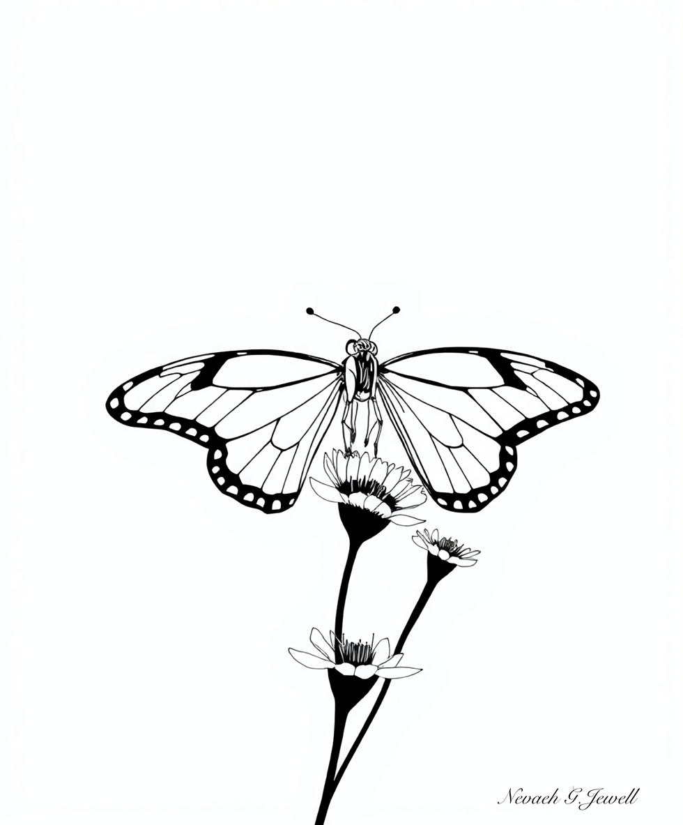 IMG_0091.PNG