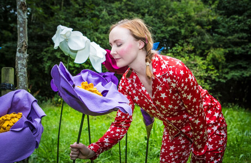 dream flowers.jpeg
