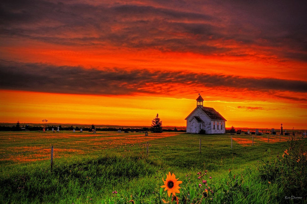 Ron Dormer Photography