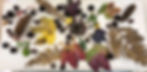 VOS_Herbstmandalas (2)