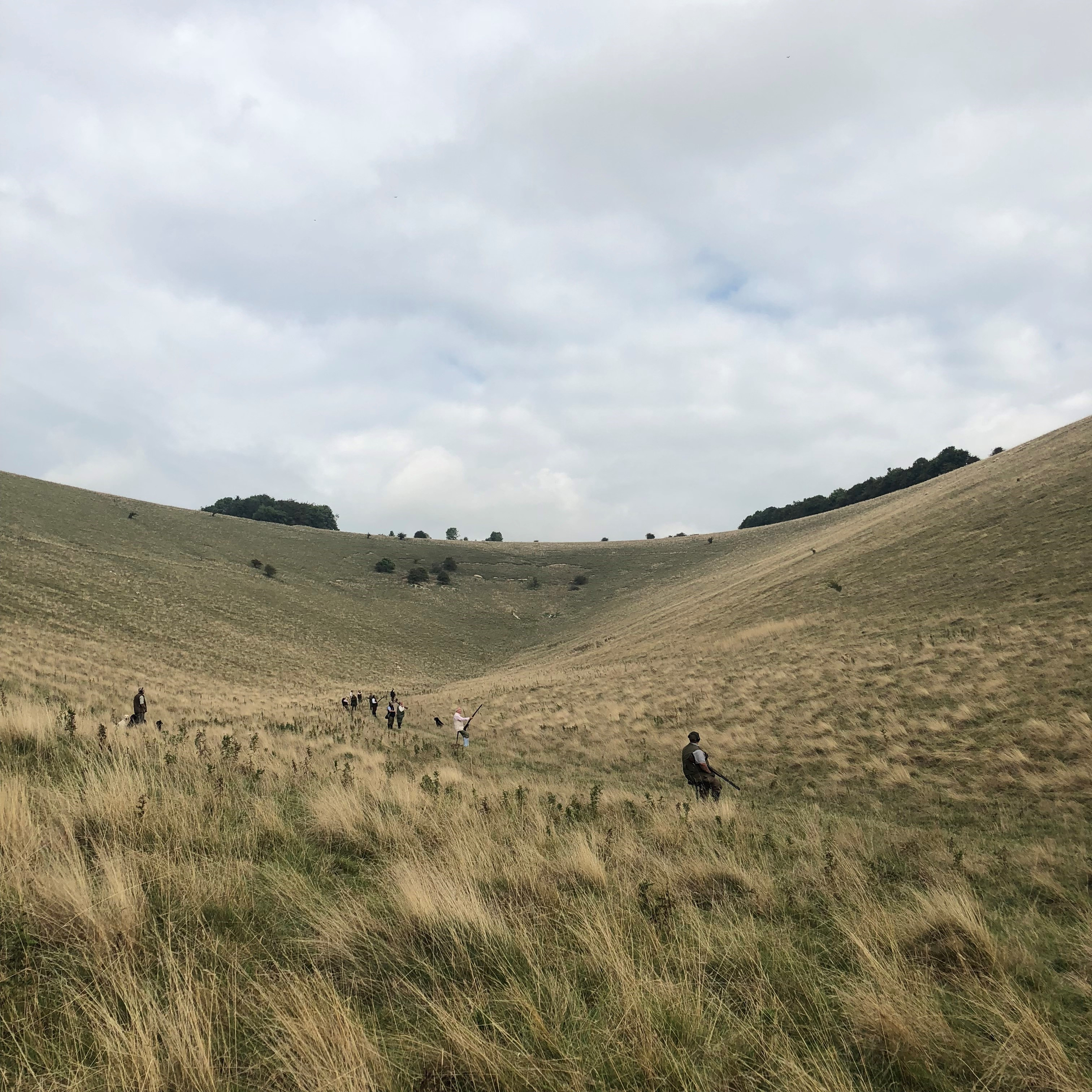 Prescombe Rocks Prescombe Estate Shoot. Pheasant & Partridge Shooting. - Darbishire ...