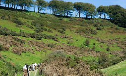 QoR-Venues-Abbotstone-Farmhouse-England-distance.