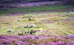 QoR-Venues-Abbotstone-Farmhouse-England-distance.