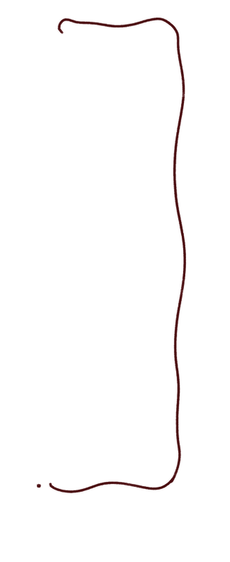 moldura onda.png