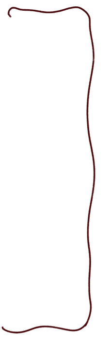 moldura onda.png
