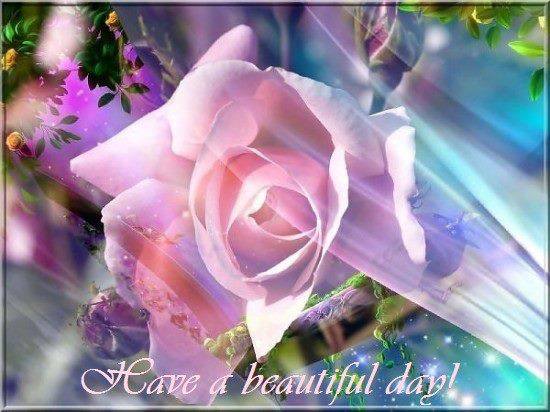 Have a beautyful day