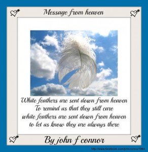 White feathers