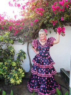 Ch Flamenco bougainvilla