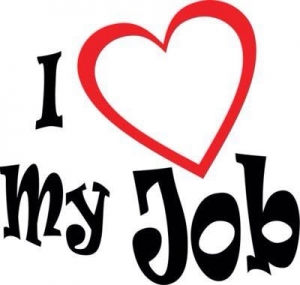 I love my job